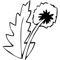 1626481-200